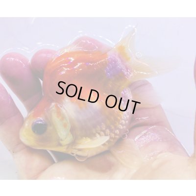 画像2: 宮島血統福だるま 短尾　当歳約9センチ  ＃150