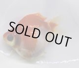 画像: 宮島血統福だるま 短尾　明け2歳約9センチ  ＃148