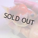 画像: 宮島血統福だるま 短尾　当歳約9センチ  ＃150